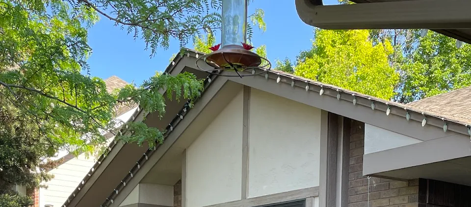 Cedar shingle architectural detail